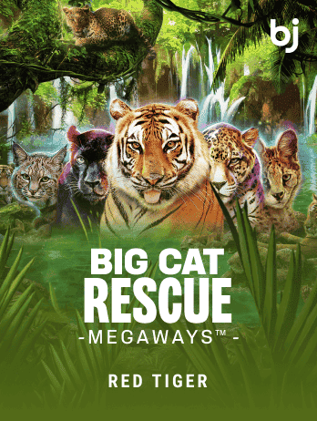 Big Cat Rescue Megaways thumbnail